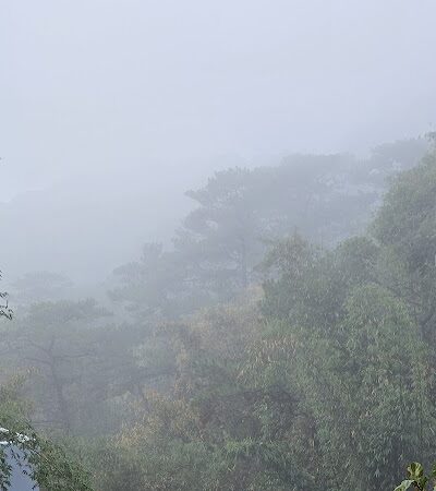 West Hartford Parks - Hartford, CT