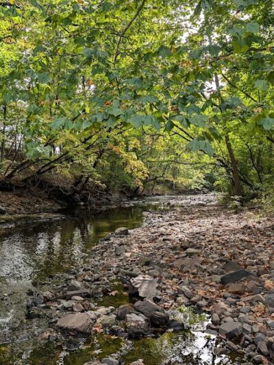 West Hartford Parks - Hartford, CT
