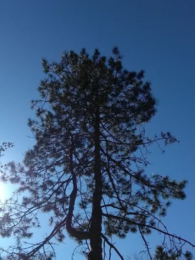 West Hartford Parks - Hartford, CT