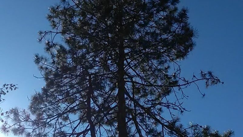 West Hartford Parks - Hartford, CT