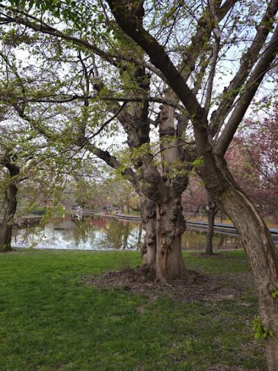 Bushnell Park - Hartford, CT