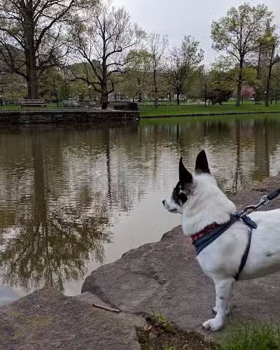 Bushnell Park - Hartford, CT
