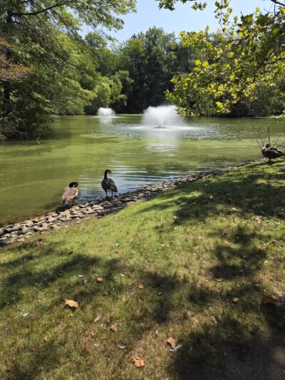 Elizabeth Park Rose Garden - Hartford, CT