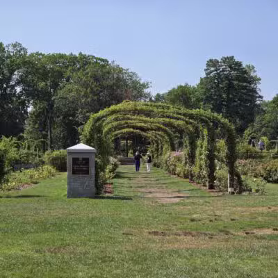 Elizabeth Park Rose Garden - Hartford, CT