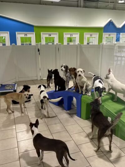 Hounds Town Hartford - Hartford, CT