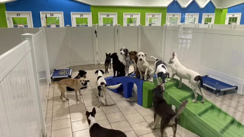 Hounds Town Hartford - Hartford, CT