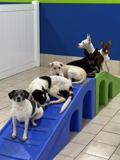 Hounds Town Hartford - Hartford, CT