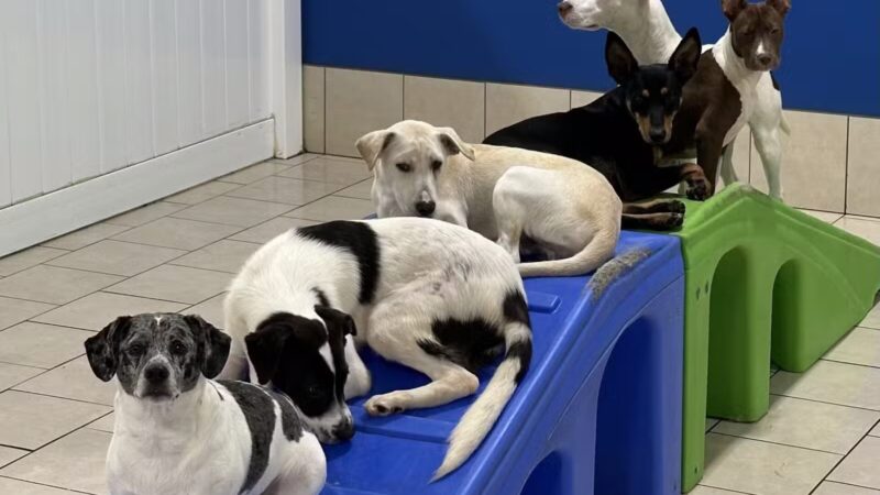 Hounds Town Hartford - Hartford, CT