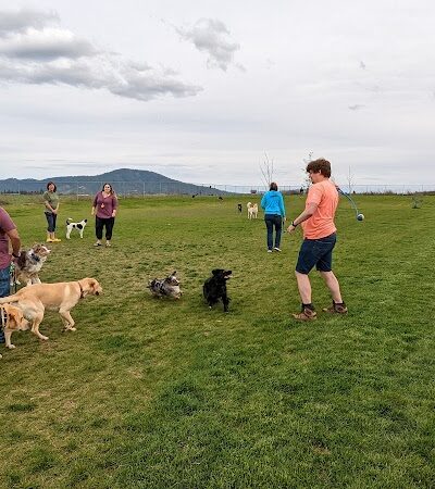Pawfoot Dog Park