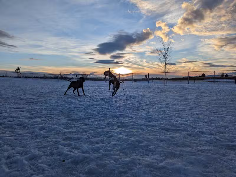 Pawfoot Dog Park
