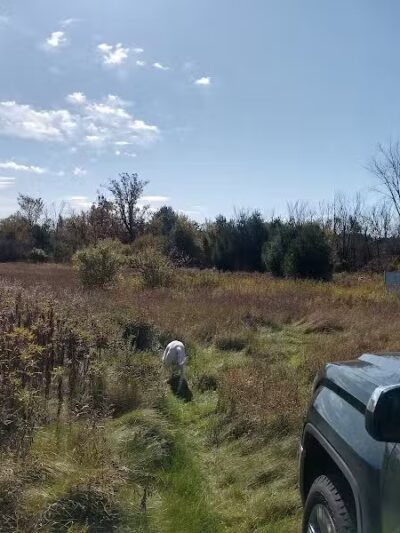 Smith Creek Dog Park - Hayward, WI