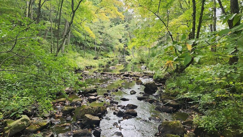 Gay City State Park - Hebron, CT