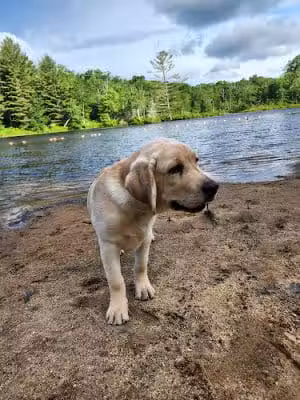 Gay City State Park - Hebron, CT