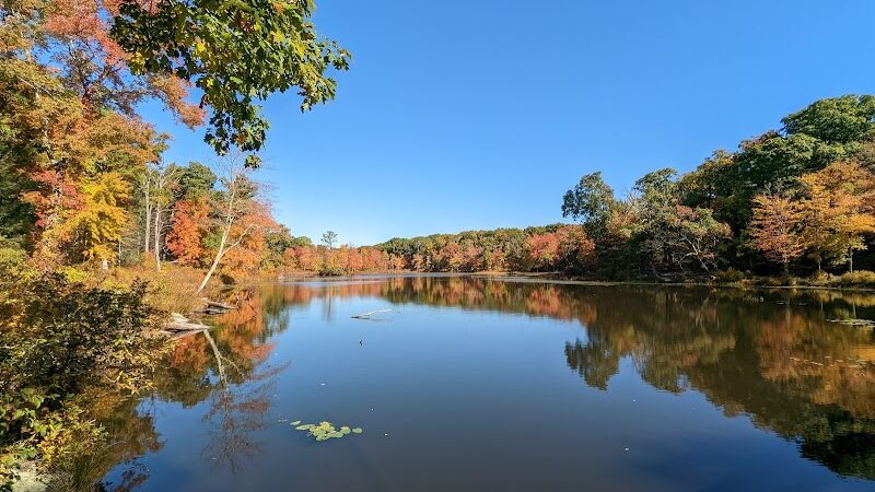Gay City State Park - Hebron, CT