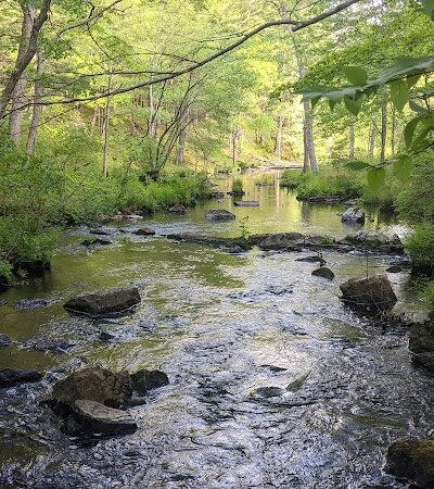Gay City State Park - Hebron, CT