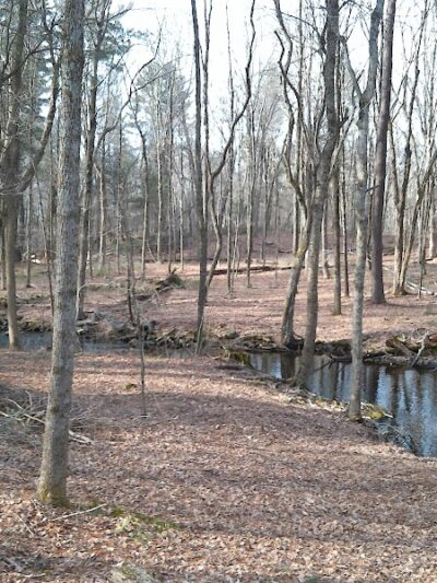 Gay City State Park - Hebron, CT