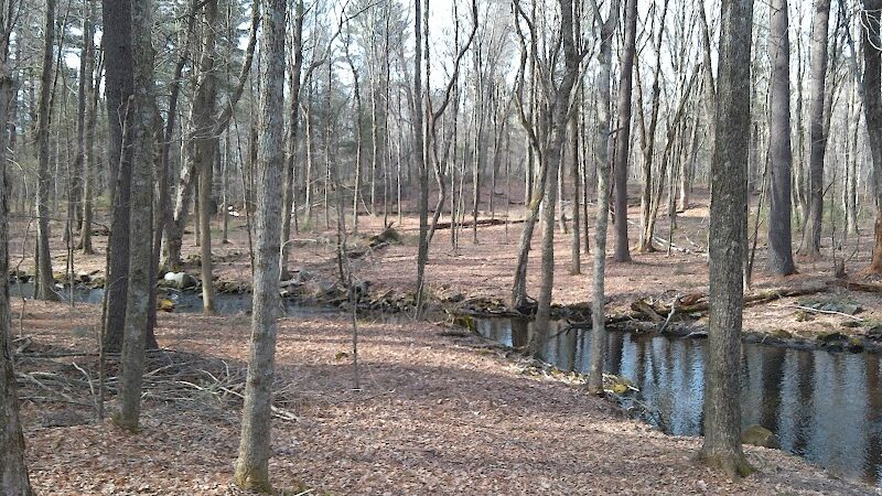Gay City State Park - Hebron, CT