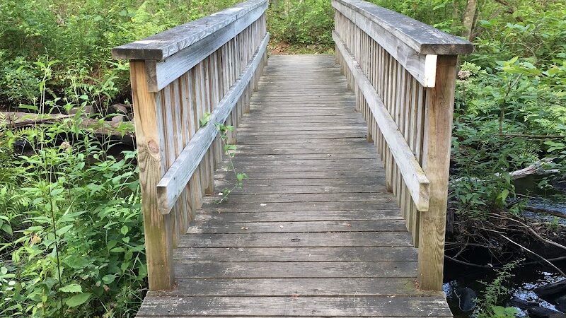 Gay City State Park - Hebron, CT