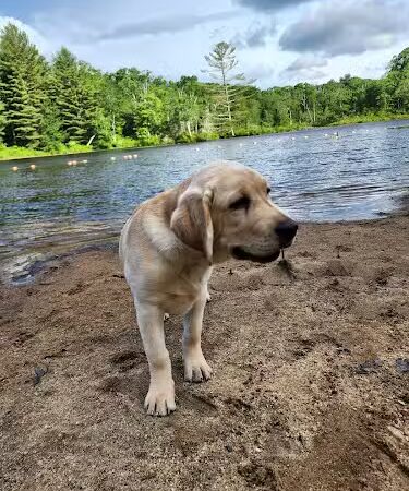 Gay City State Park - Hebron, CT