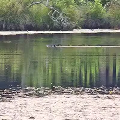 Gay City State Park - Hebron, CT