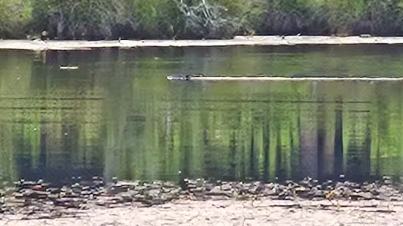 Gay City State Park - Hebron, CT