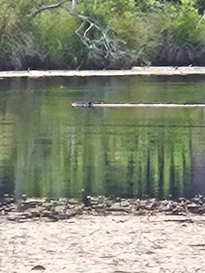 Gay City State Park - Hebron, CT