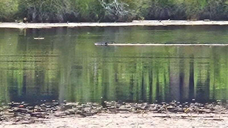 Gay City State Park - Hebron, CT