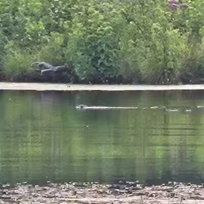 Gay City State Park - Hebron, CT