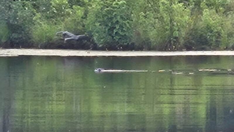 Gay City State Park - Hebron, CT