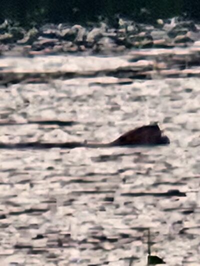 Gay City State Park - Hebron, CT