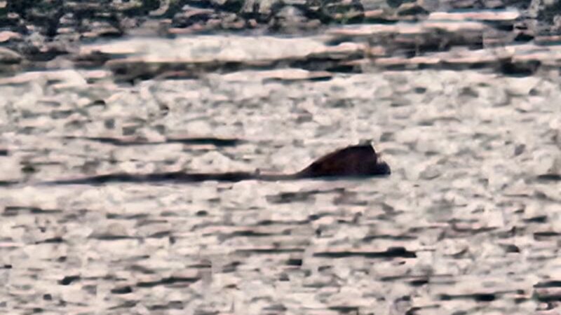 Gay City State Park - Hebron, CT