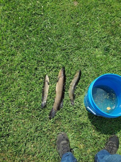 Parking Lot - Hebron, IN