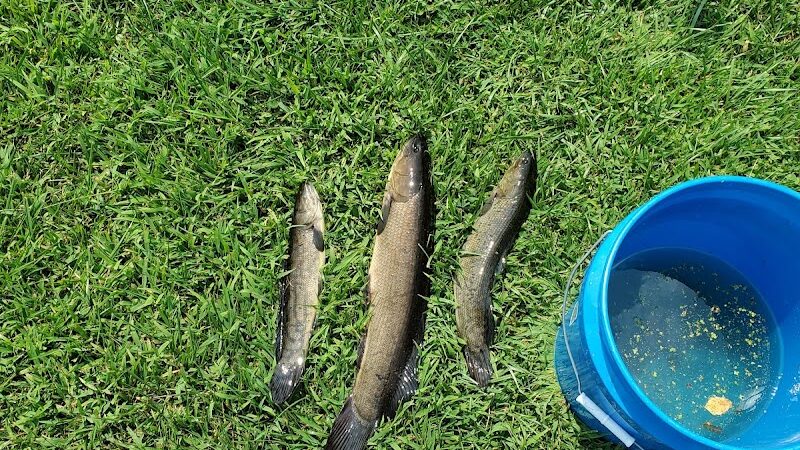 Parking Lot - Hebron, IN