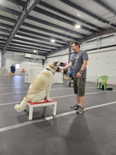 Stoney Run Canine Camp and Academy - Hebron, IN