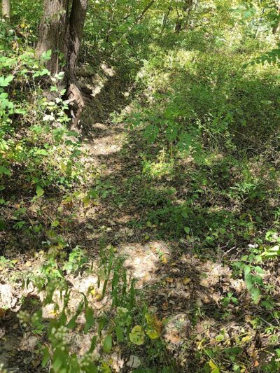 Stoney Run County Park - Hebron, IN