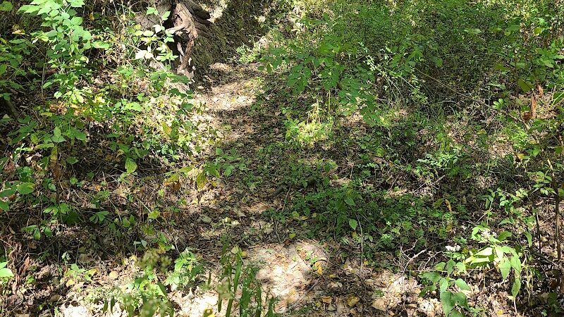 Stoney Run County Park - Hebron, IN