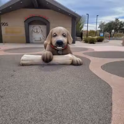 Bark Park at Heritage Park - Henderson, NV
