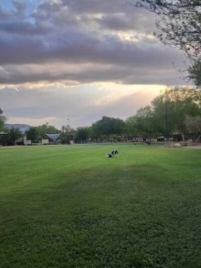 Bark Park at Heritage Park - Henderson, NV