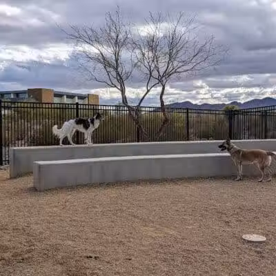 Bark Park at Heritage Park - Henderson, NV