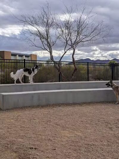 Bark Park at Heritage Park - Henderson, NV