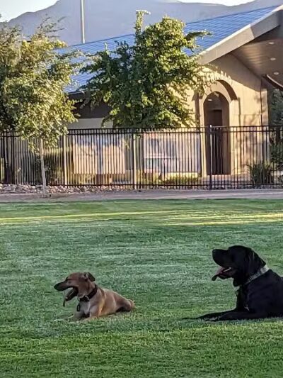 Bark Park at Heritage Park - Henderson, NV