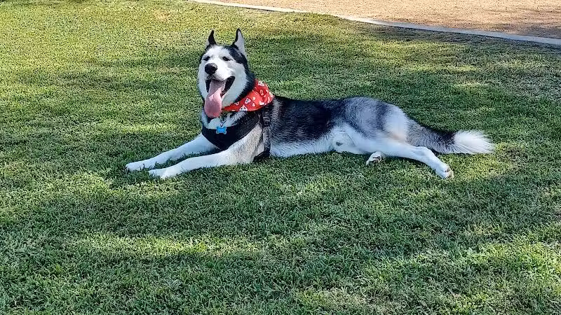 Bark Park at Heritage Park - Henderson, NV