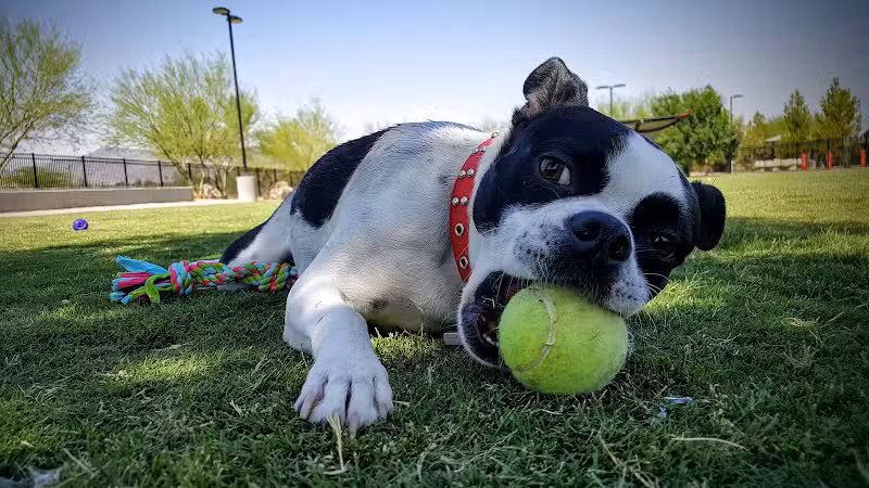 Bark Park at Heritage Park - Henderson, NV