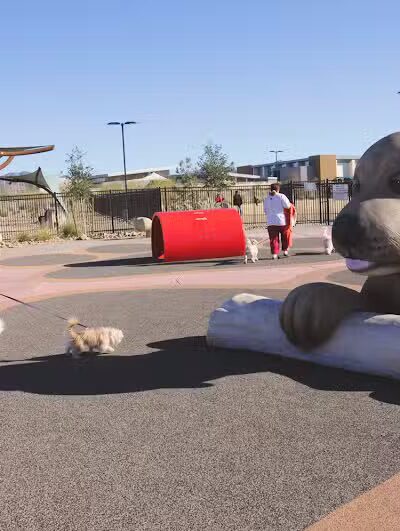 Bark Park at Heritage Park - Henderson, NV
