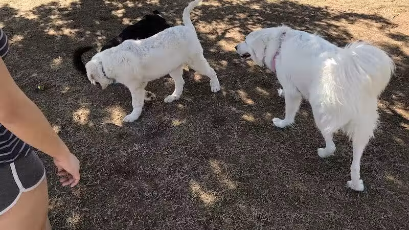 Cactus Wren Park - Henderson, NV