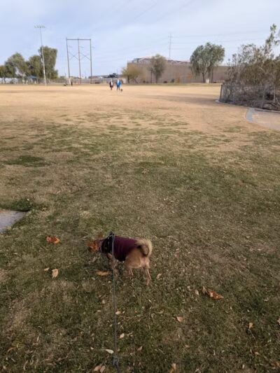 Cactus Wren Park - Henderson, NV