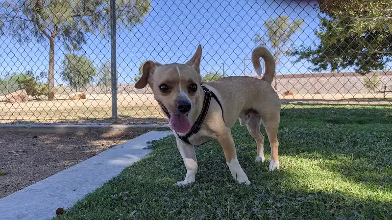 Cactus Wren Park - Henderson, NV
