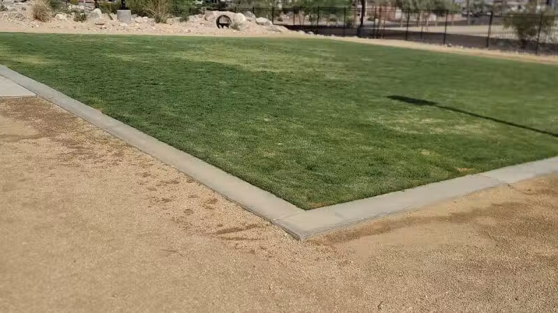 Dog Park - Henderson, NV