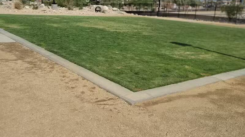 Dog Park - Henderson, NV