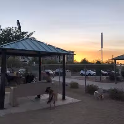 Nicolai's Para Dog park - Henderson, NV